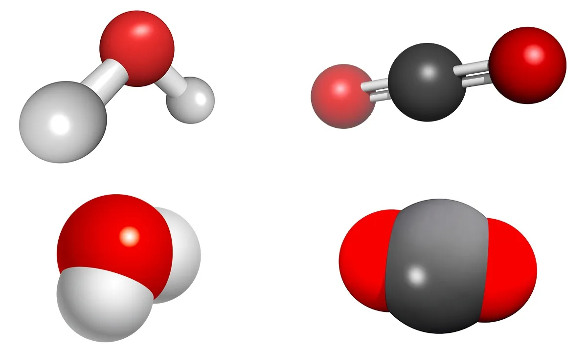 La molécule d'eau et la molécule de dioxyde de carbone