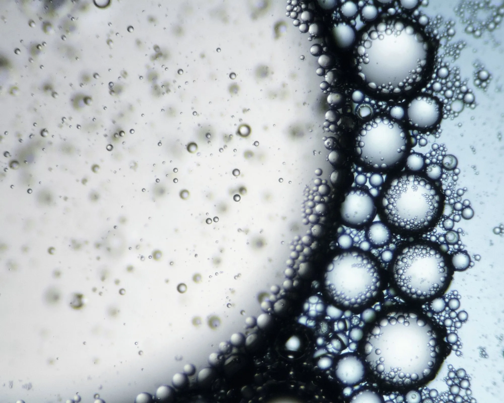 Mélange d'huile et de savon vu au microscope