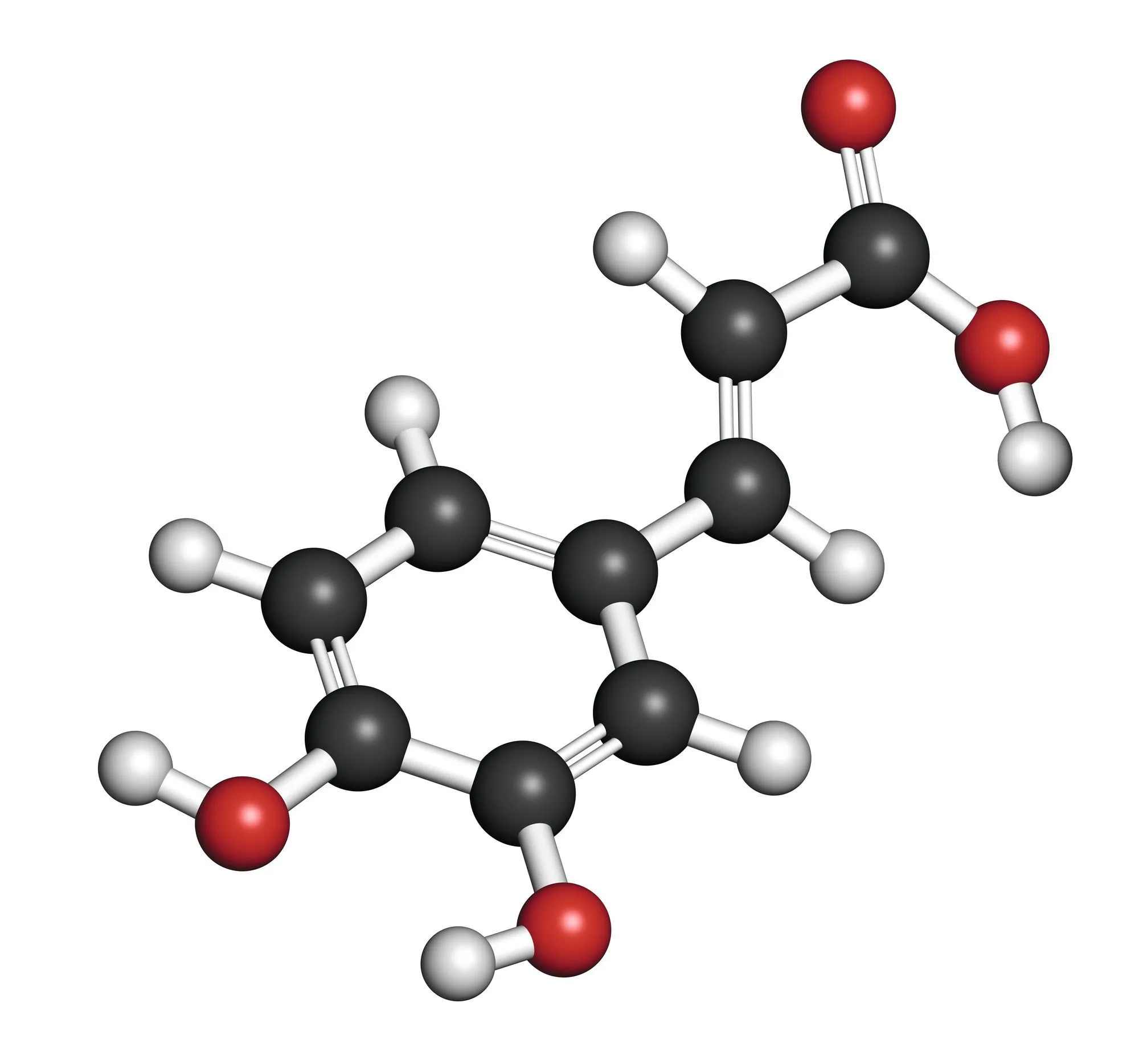 Modèle moléculaire de l'acide caféïque