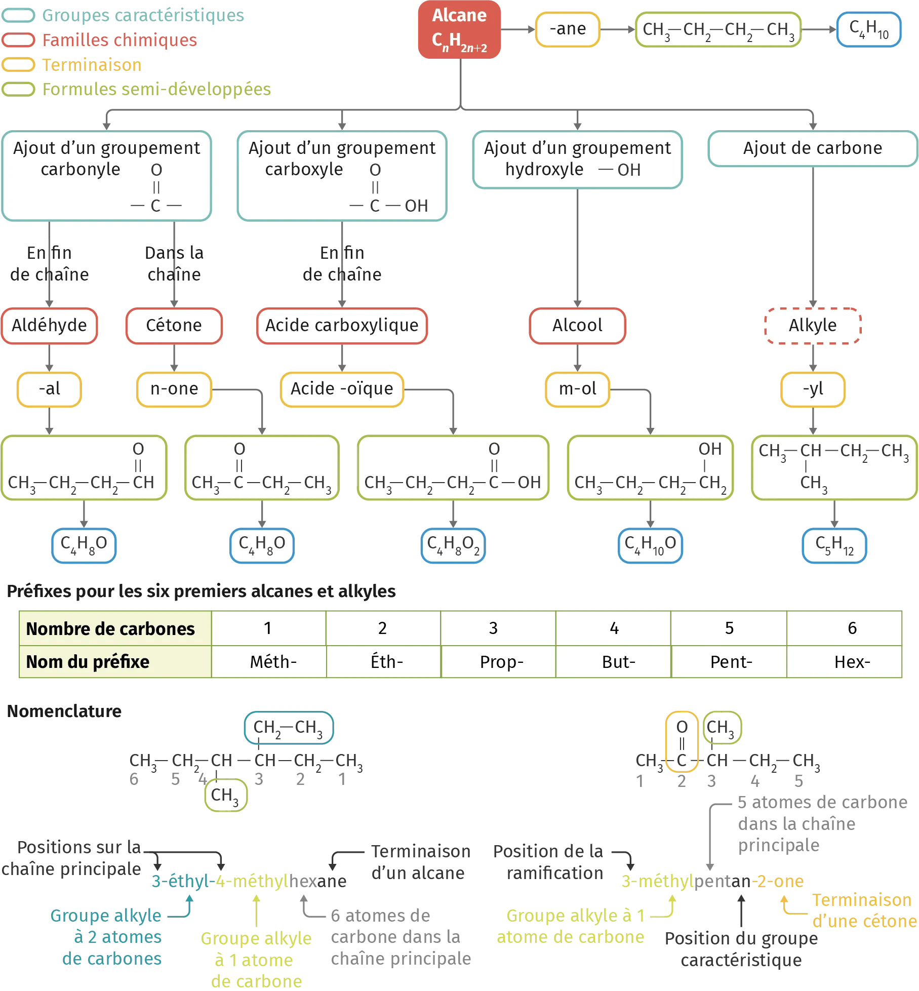 bilan, Principales notions, groupes caractéristiques, familles chimiques, terminaison, formules semi-développées