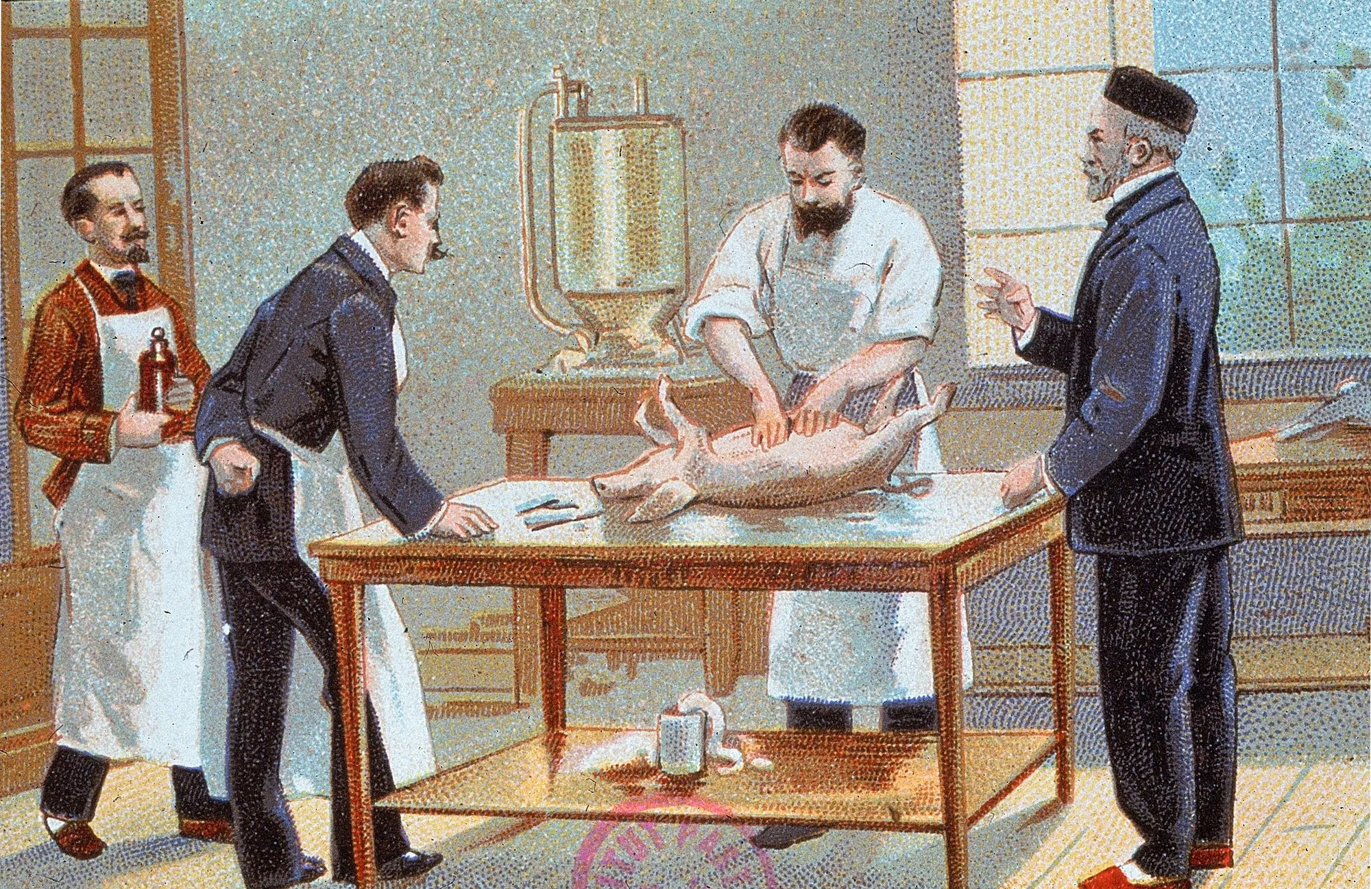 Louis Pasteur et ses collaborateurs travaillant sur le rouget du porc (années 1880).