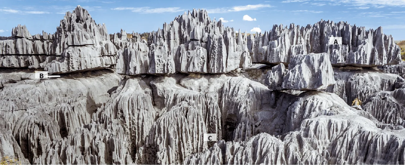 Le lapiaz des Tsingy de Bemaraha à Madagascar.