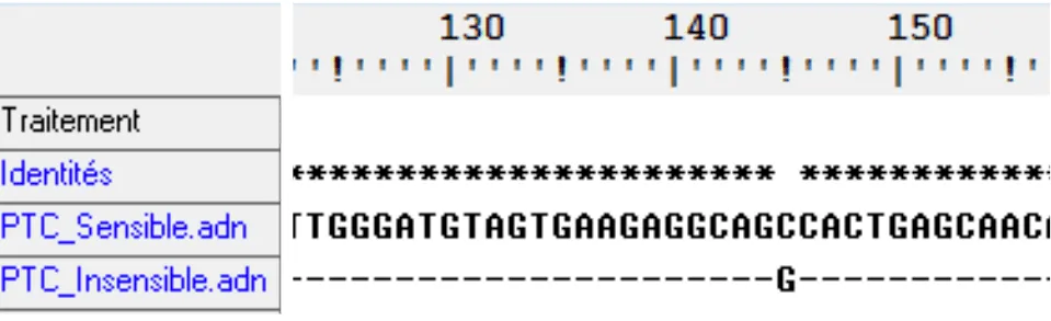 Comparaison de séquences des formes de TAS2R38