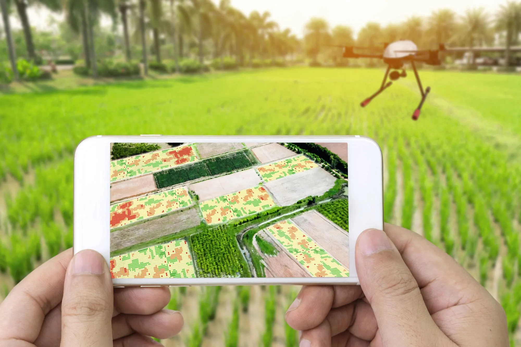 Des drones pour l'agriculture.