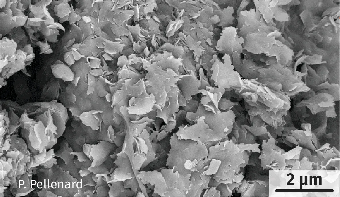 Un dépôt de sédiments argileux observé au microscope électronique à balayage