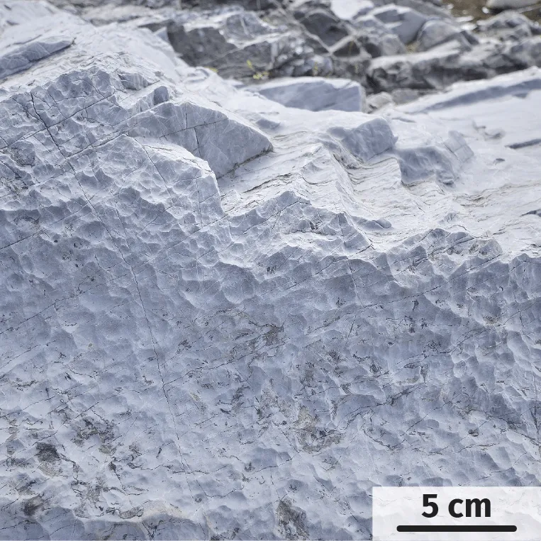 des figures de dissolution sont visibles à la surface d'un calcaire.