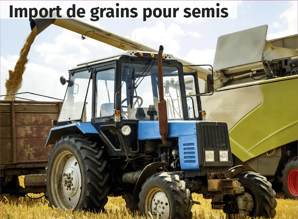 Import de grains pour semis