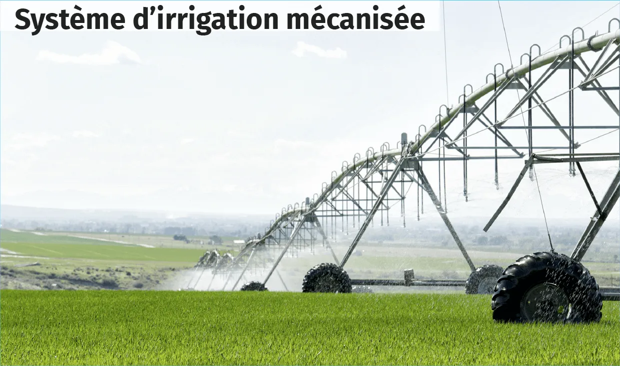 Système d'irrigation mécanisée