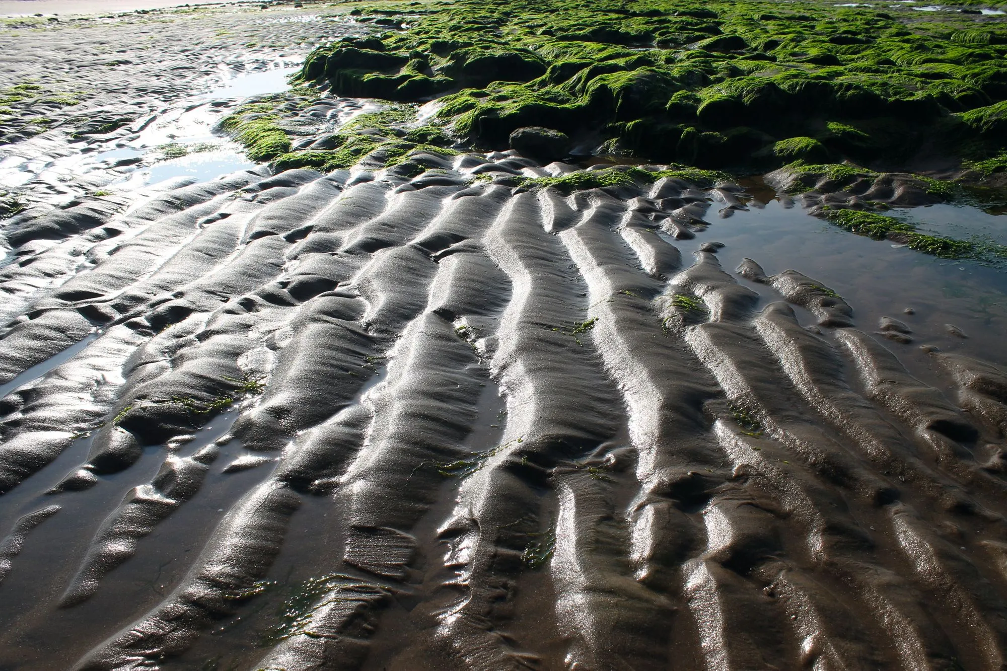 Rides des courants de marée sur une plage à marée basse.