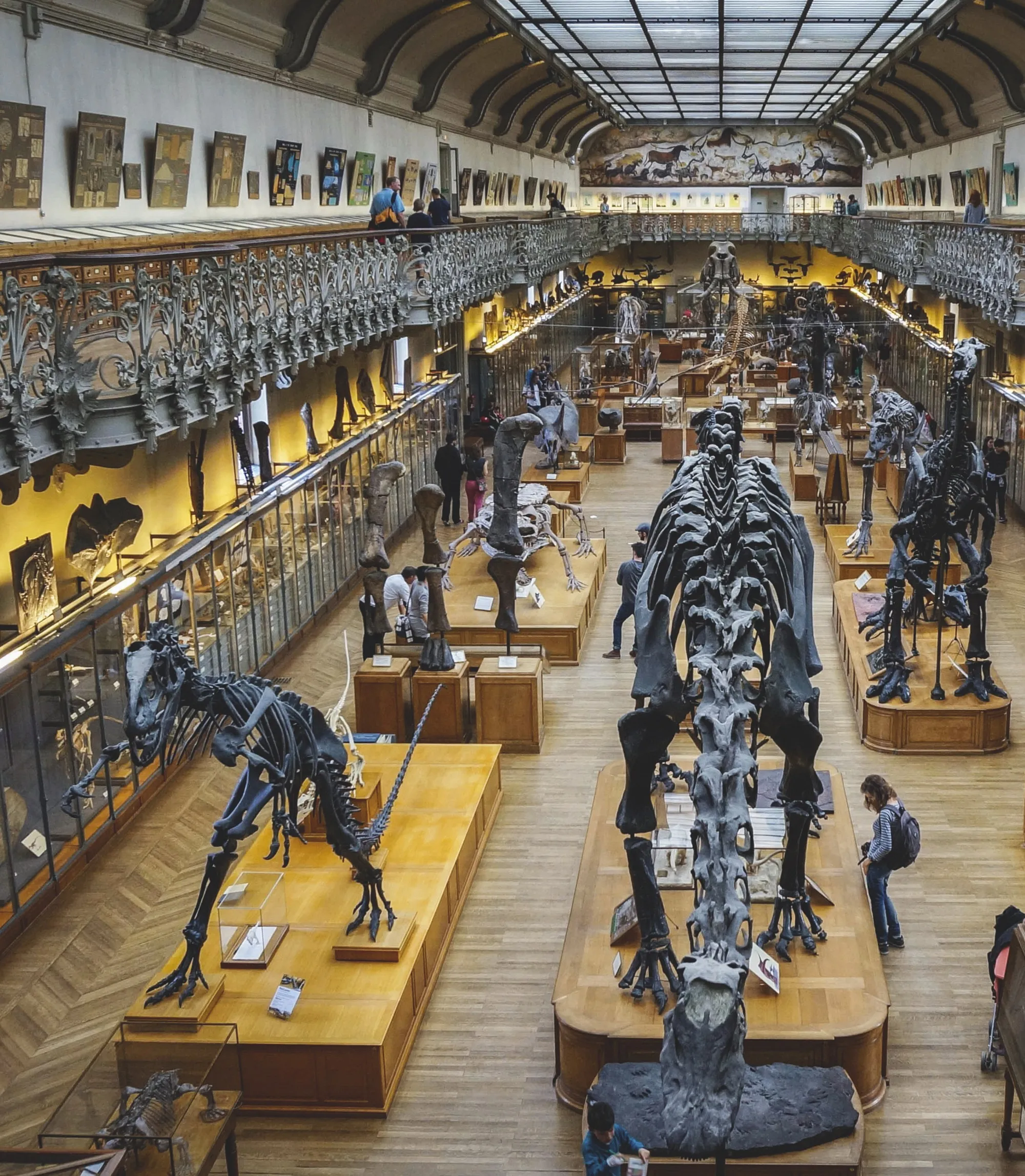 Galerie de paléontologie du Museum national d'histoire naturelle (Paris).