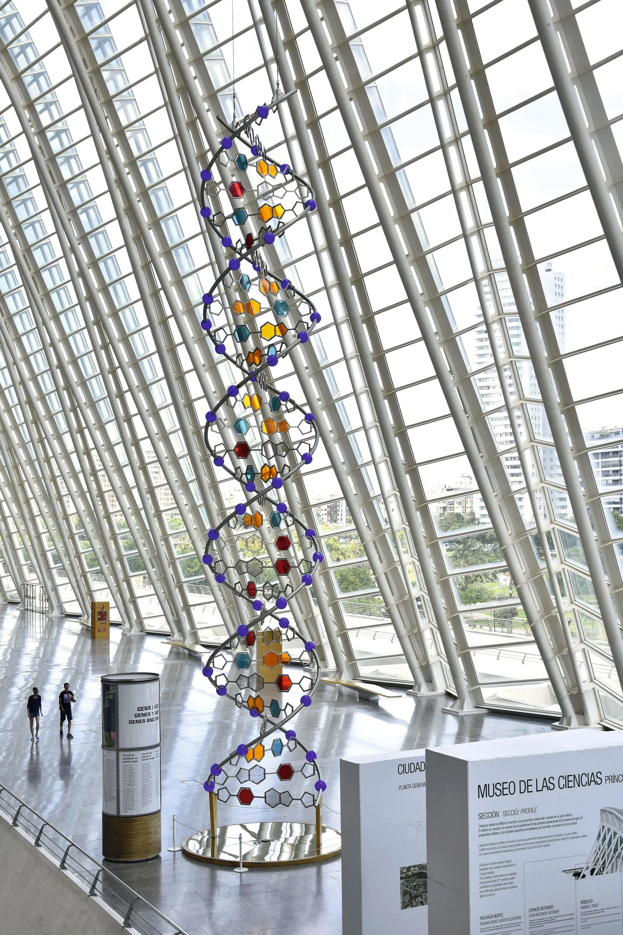Sculpture représentant la structure de l'ADN au musée du Principe Philippe à Valence (Espagne).