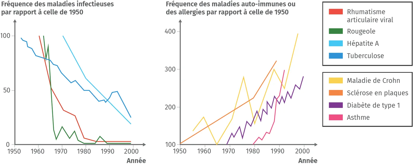 Fréquence des maladies infectieuses et auto-immunes ou des allergies entre 1950 et 2000