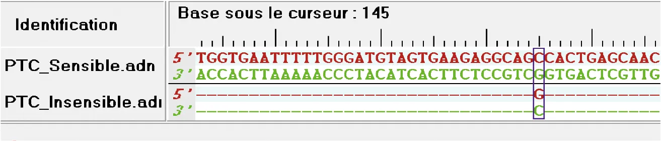 Comparaison d'extraits de séquences d'ADN