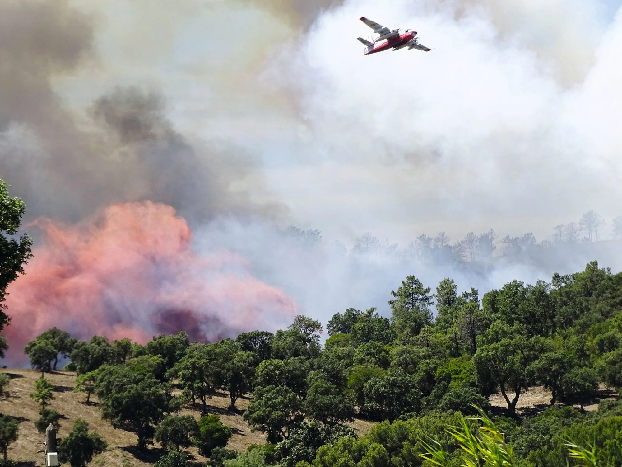 Les incendies, un risque inhérent aux milieux méditerranéens