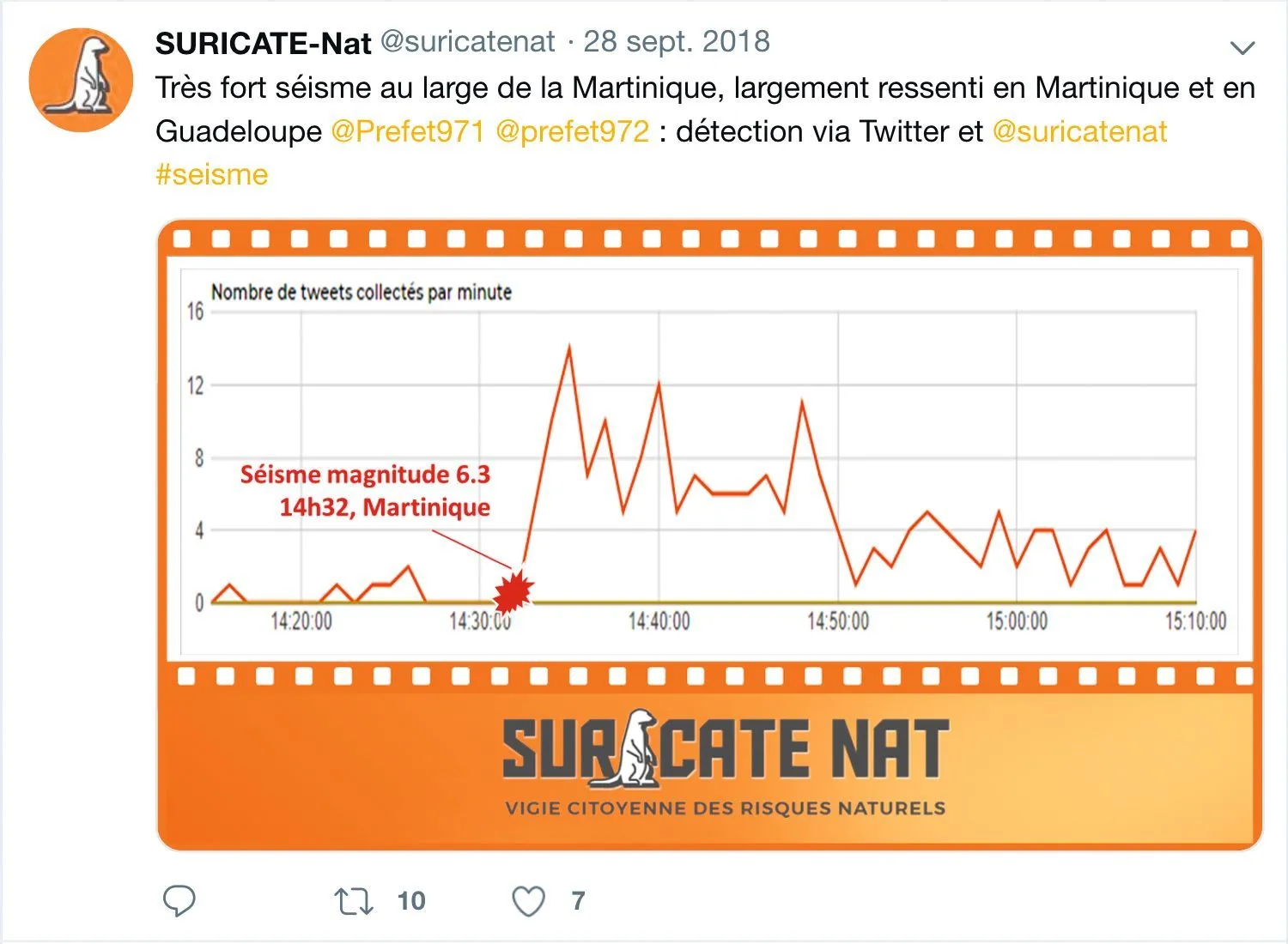 Suricate-Nat