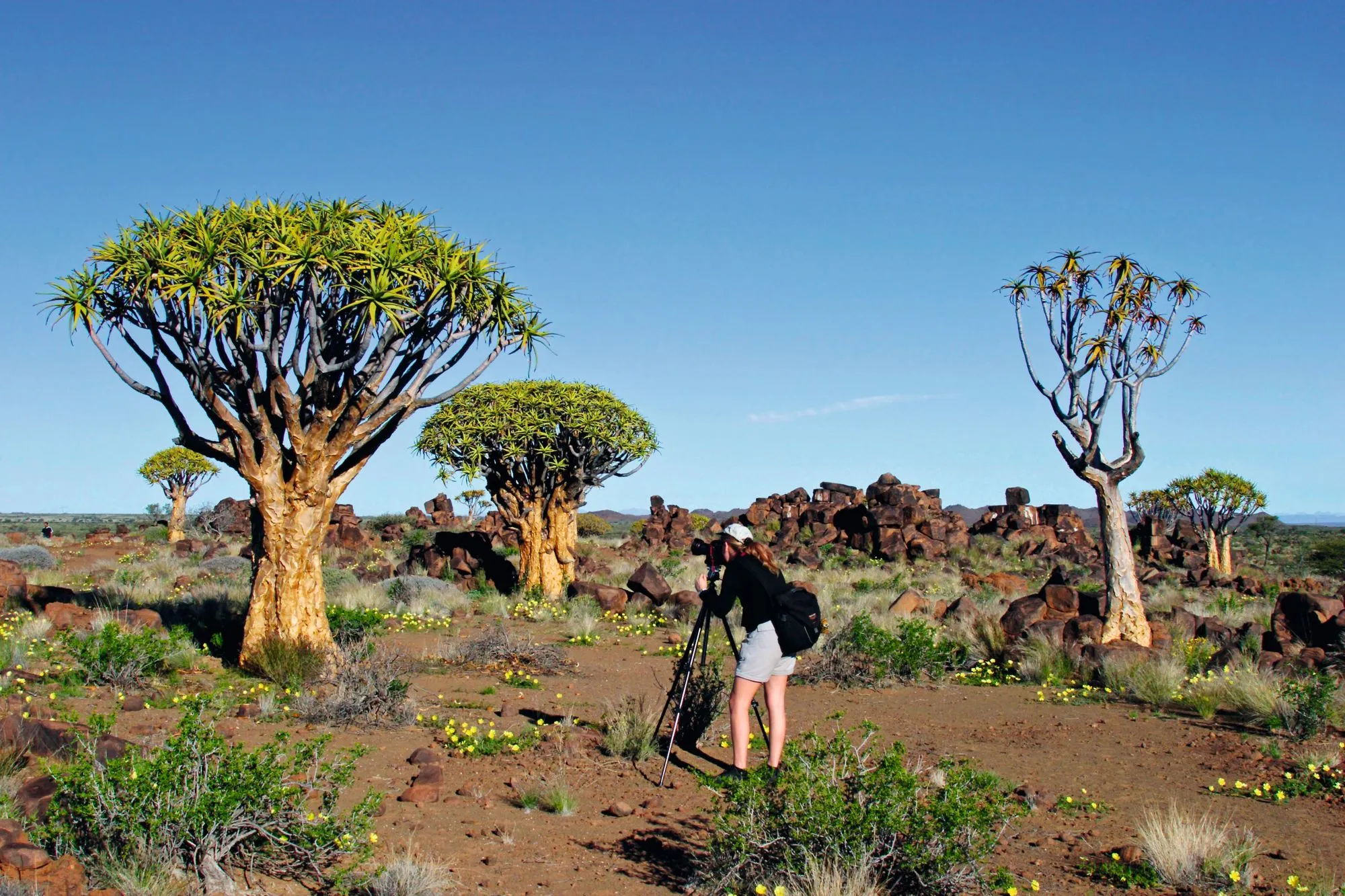 Le désert du
Namib, un espace
aride et fragilisé