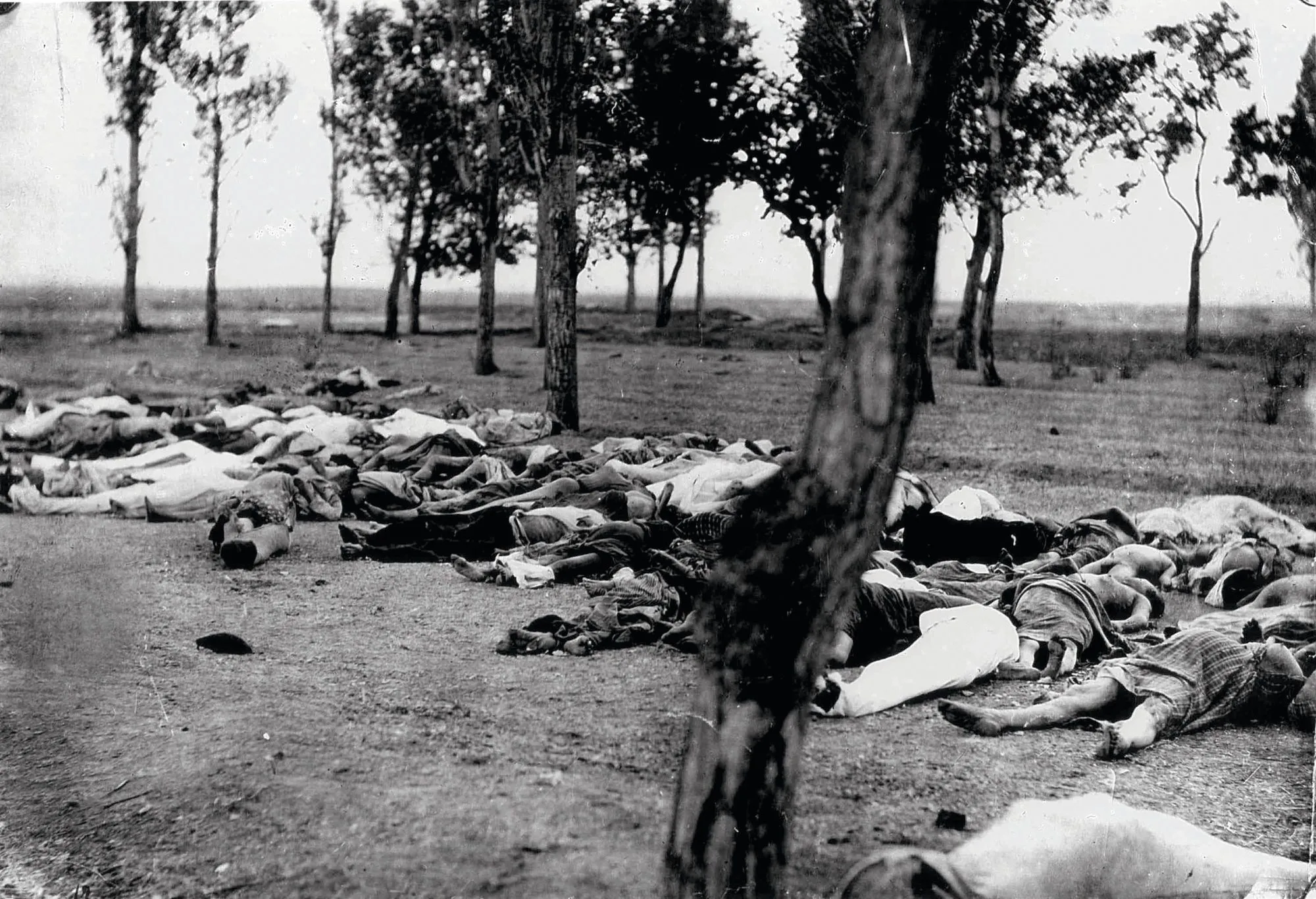Corps d'Arméniens abattus durant le génocide, photographie anonyme