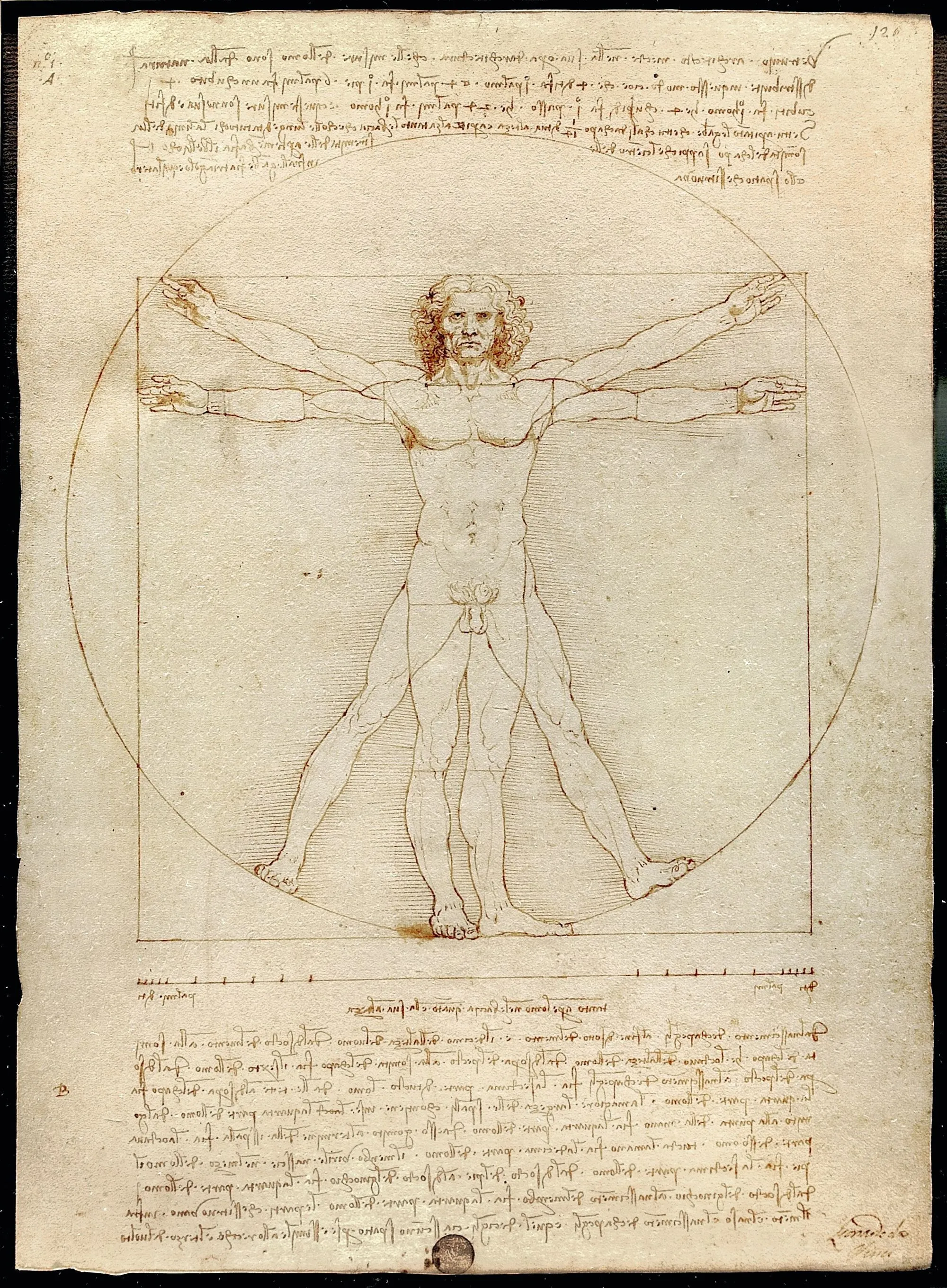 L'Homme de Vitruve par Léonard de Vinci (1490)