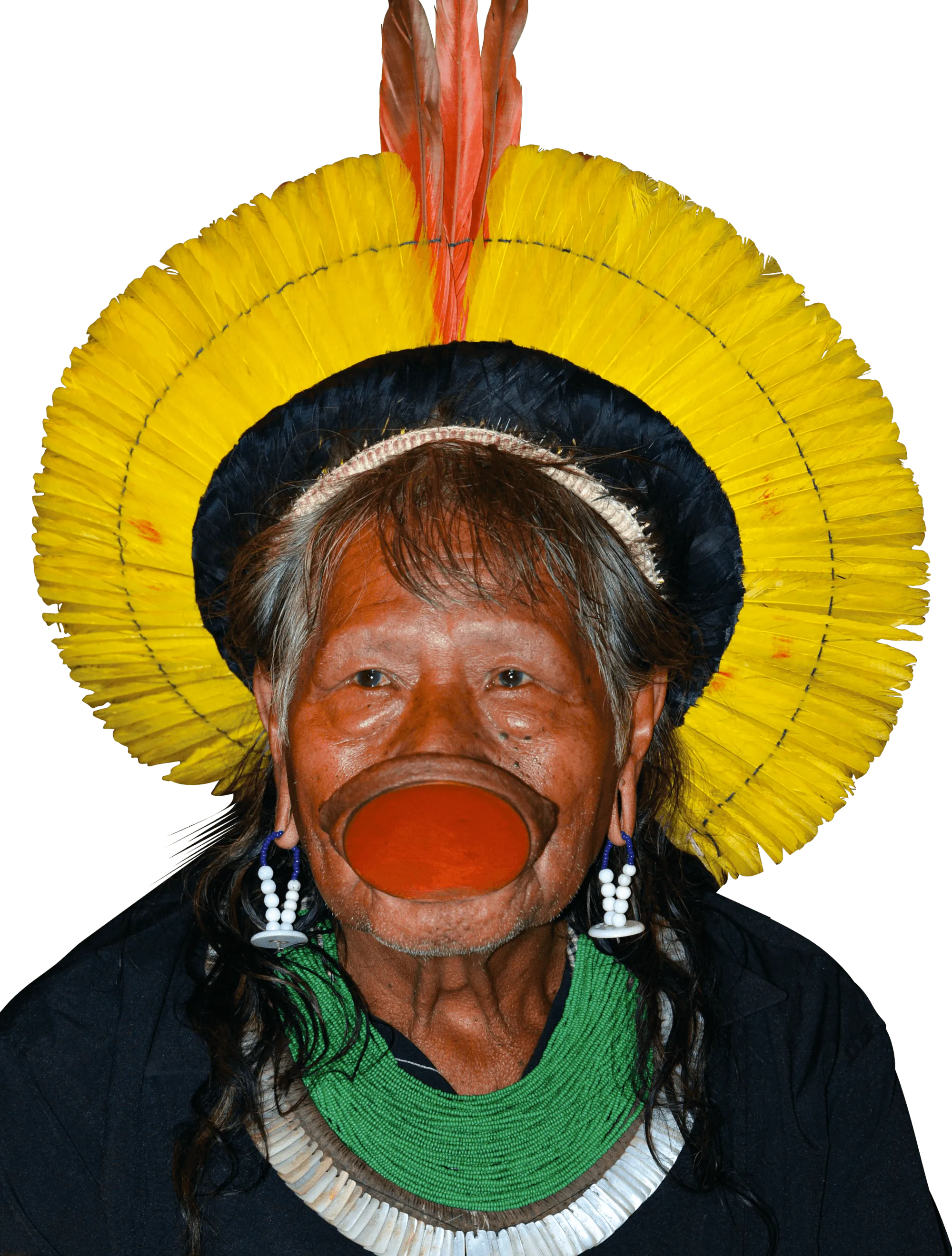 Raoni Metuktire, un chef de la tribu des Kayapos