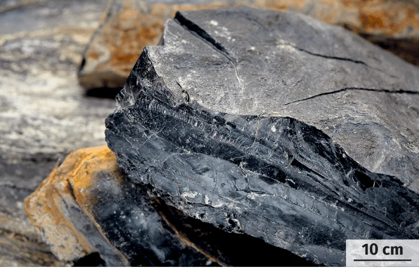 Minerai de lignite