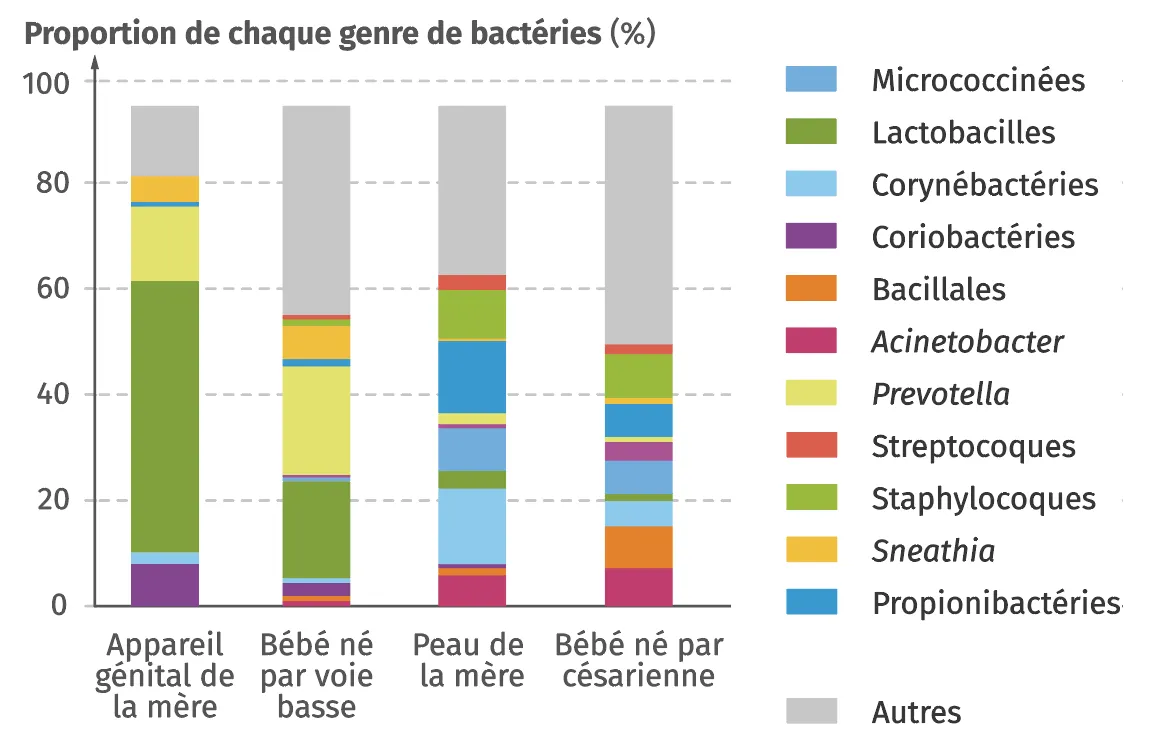 Comparaison des microbiote maternels et de l'enfant
