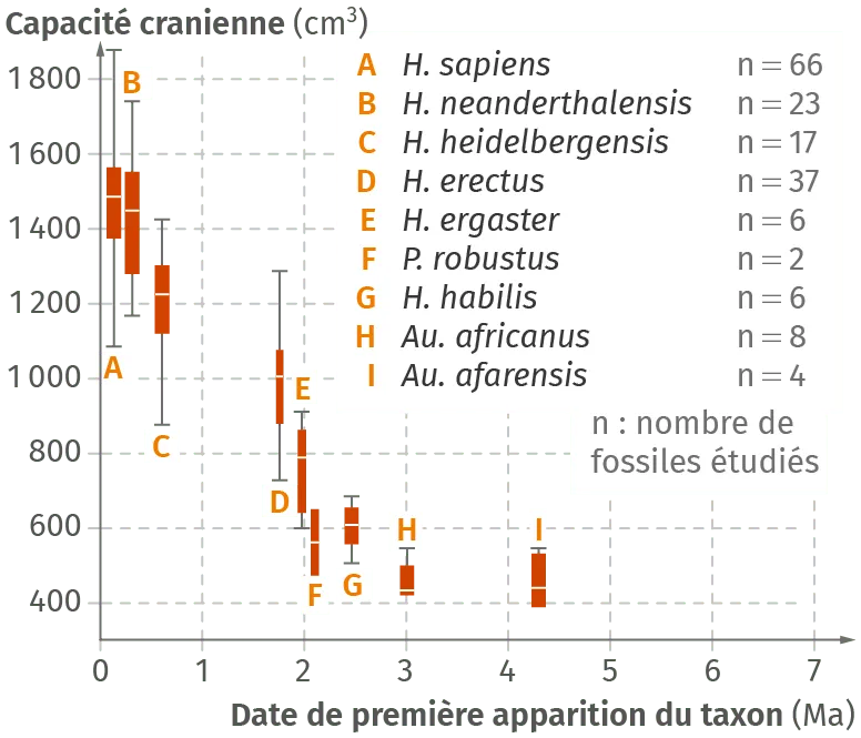 Capacité crânienne humaine et de différentes espèces fossiles d'hominidés