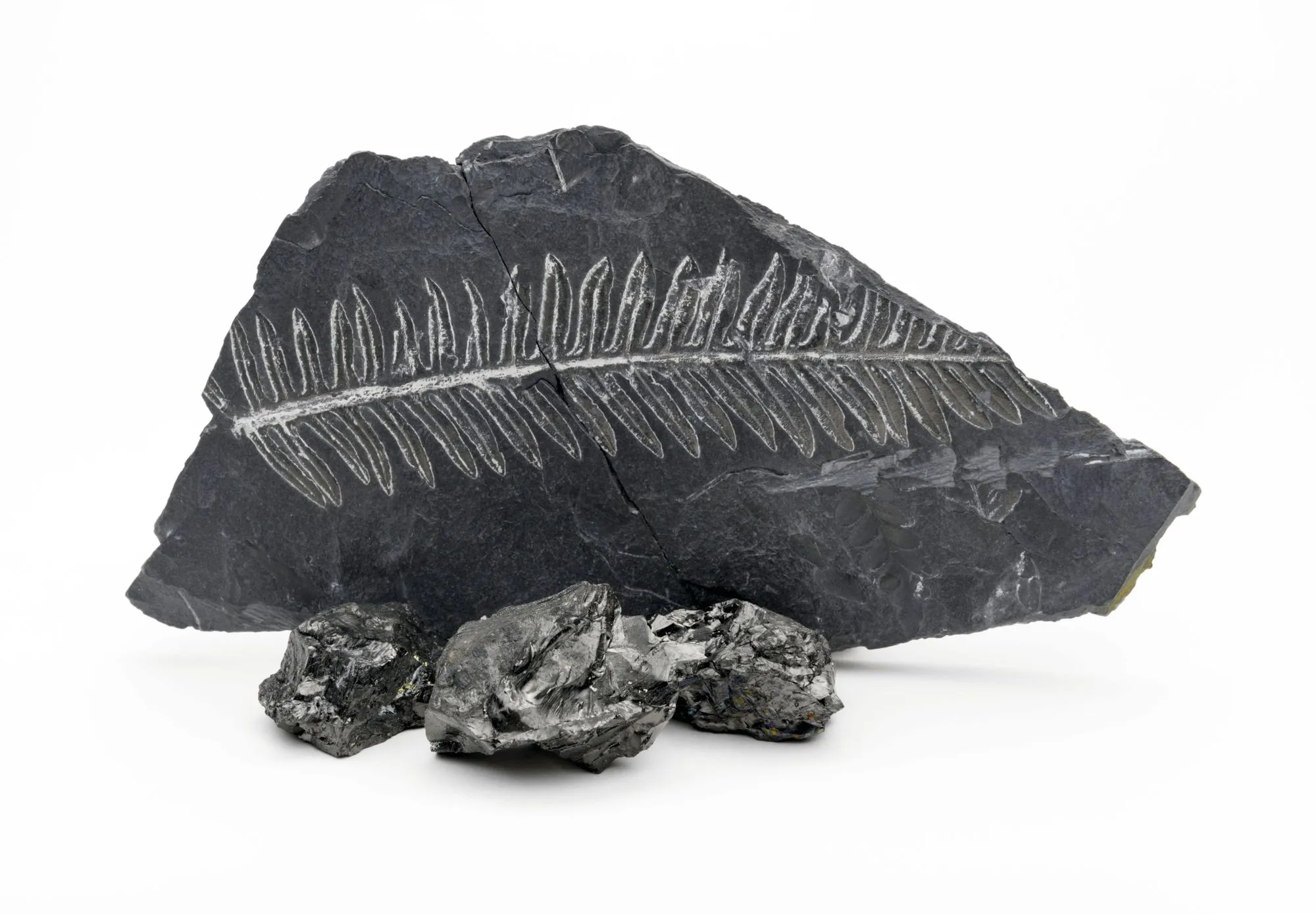 Observation de roches carbonées