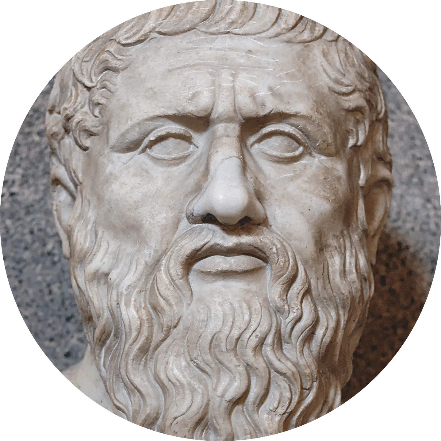 photo portrait de Platon