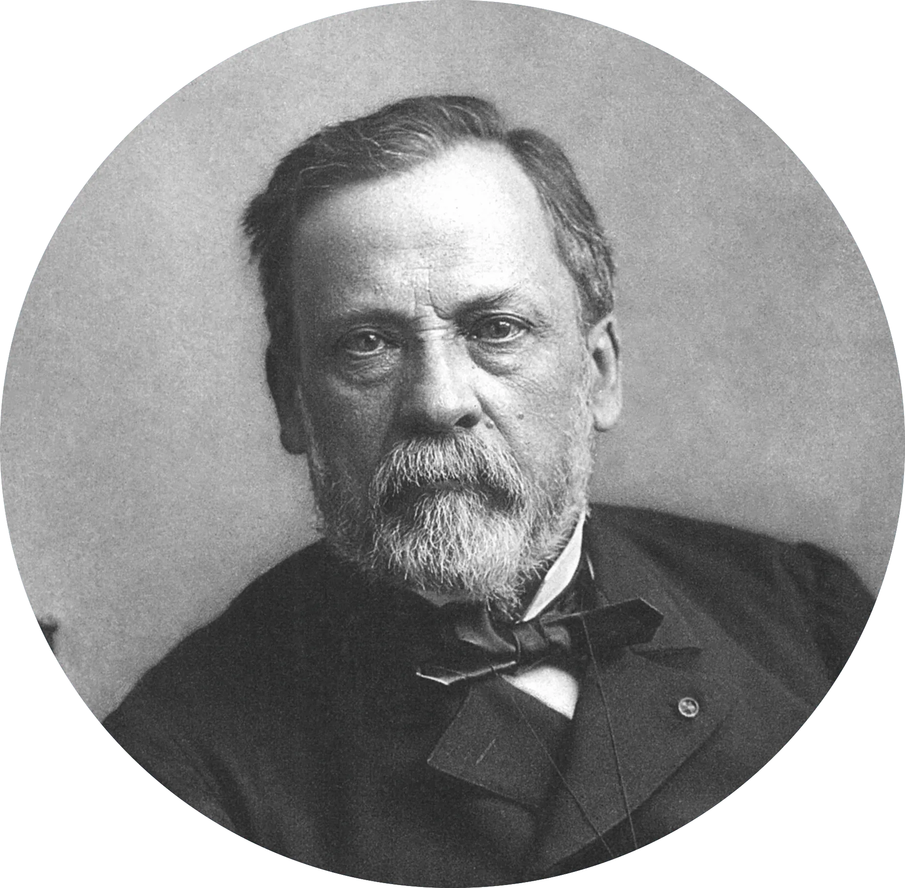 photo portrait de Pasteur