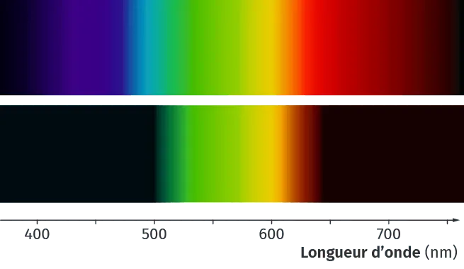 Spectres d'absorption de deux solutions observées au
spectromètre