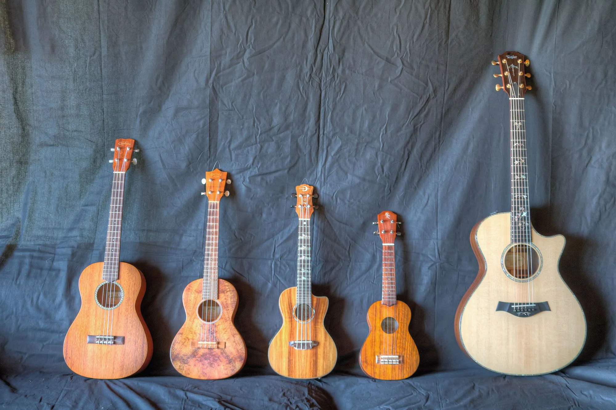 Quatre ukulélés placés à côté d'une guitare classique