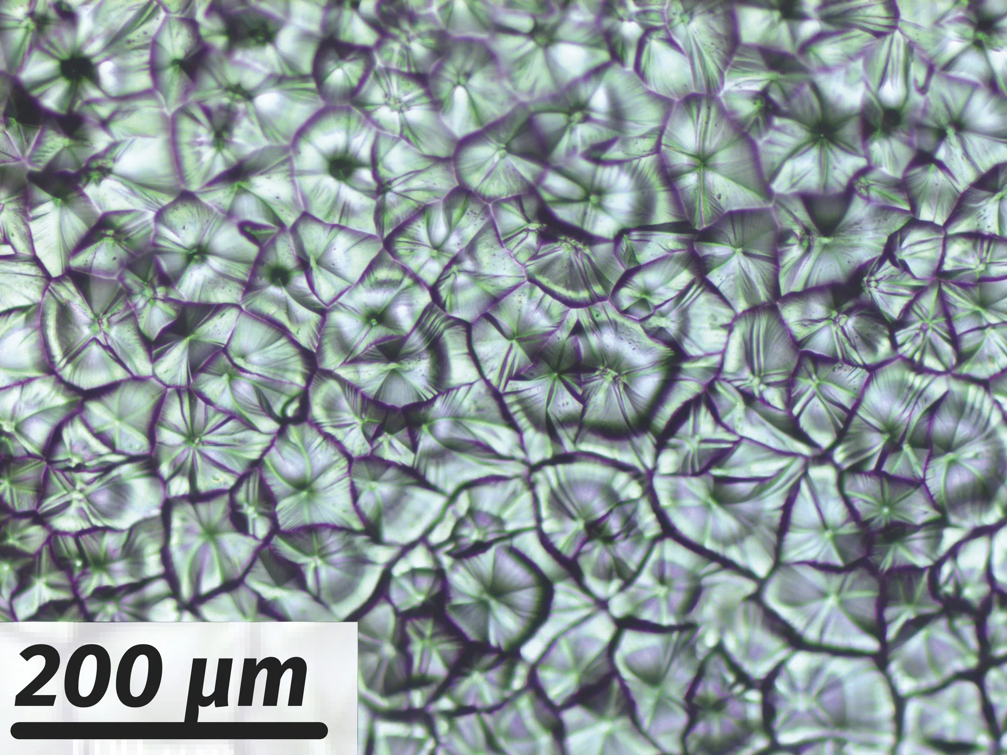 Micrographie de cristaux de pérovskite