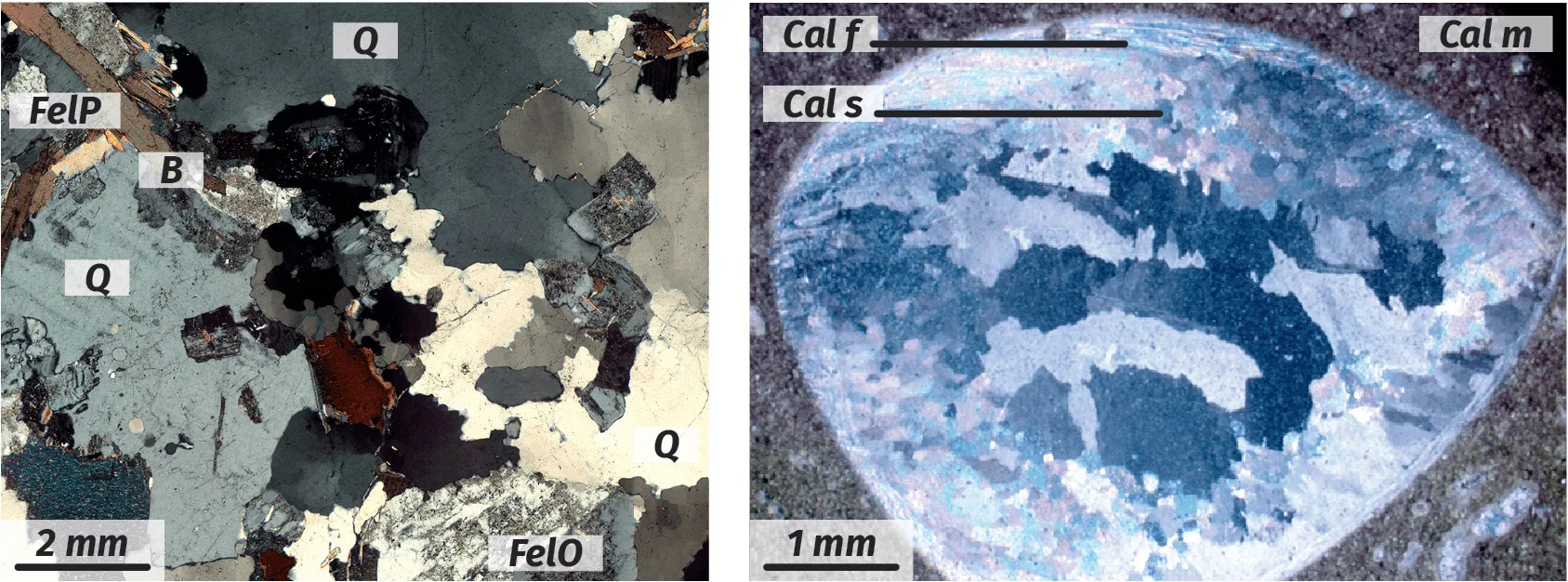 Observation au microscope polarisant d'un granite et d'un calcaire coquillier