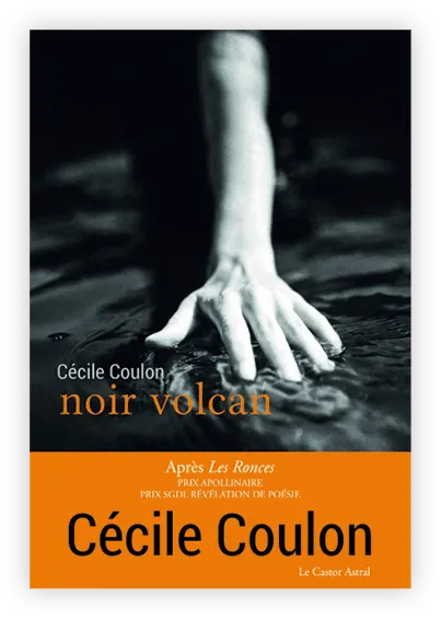 Cécile Coulon, Noir Volcan, 2020