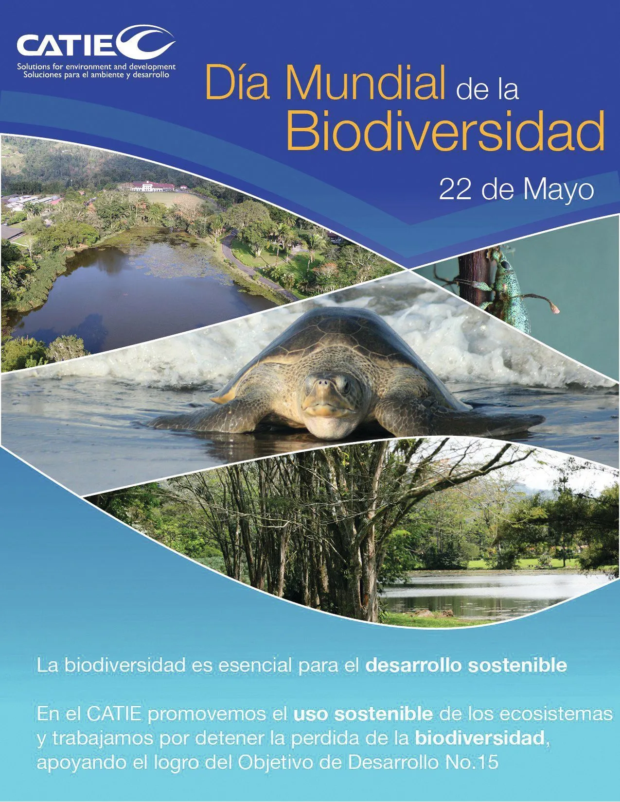 Día Mundial de la Biodiversidad, 2012.