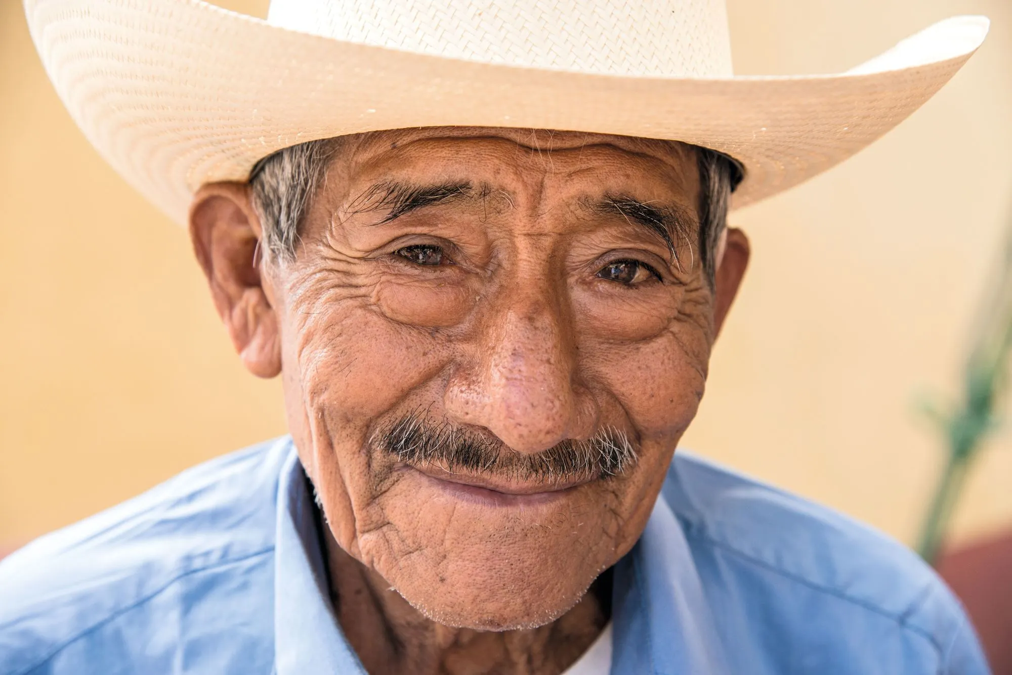 Ancianos en América Latina, 2017