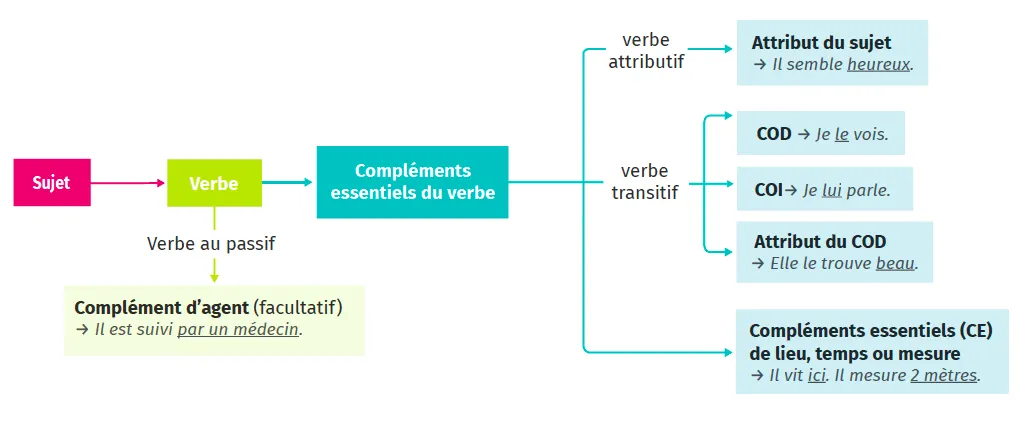 Fiche Méthode 5 Grammaire Français Les fonctions liées au verbe
