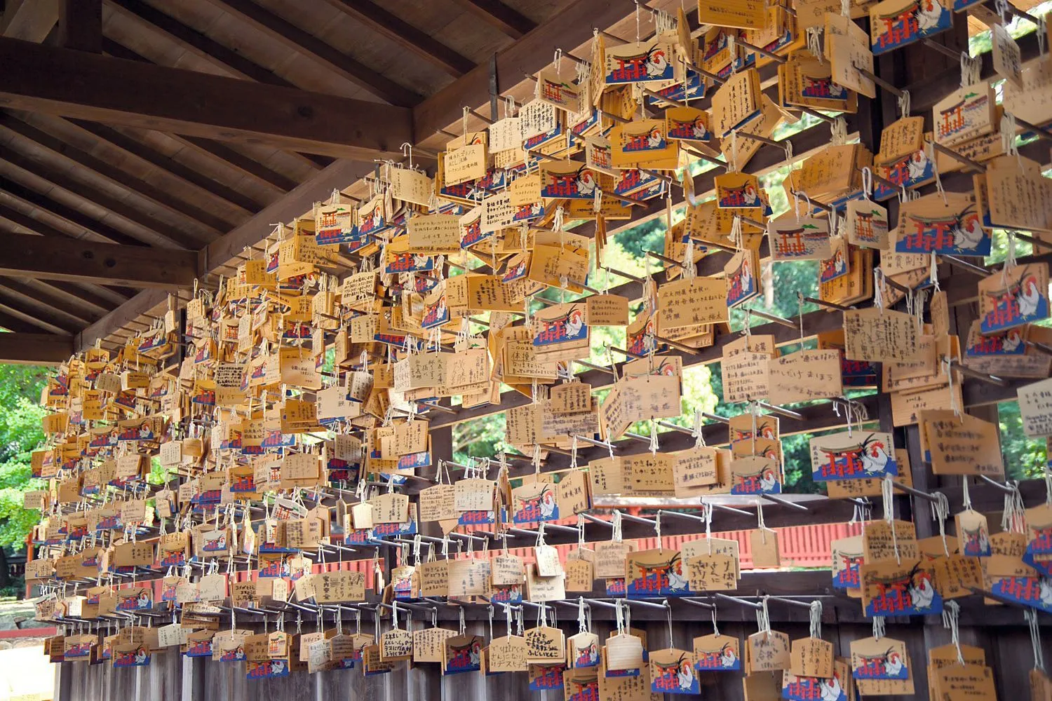 Des « ema », plaquettes de bois avec une prière inscrite, au sanctuaire d'Itsukushima, au Japon.