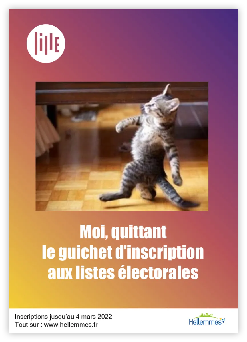 Affiche élections avec chat