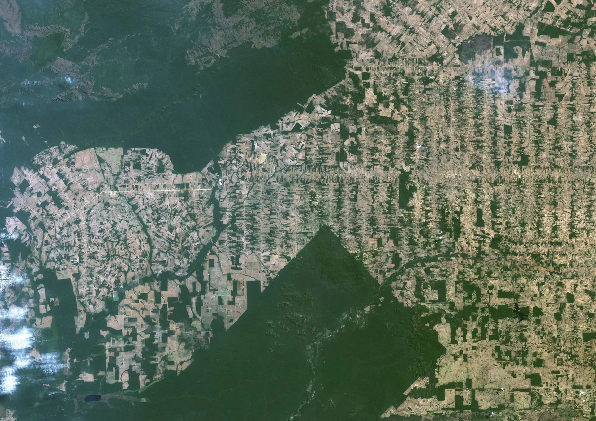 Une image satellite montre la déforestation dans le Rondônia au Brésil, en 2011.