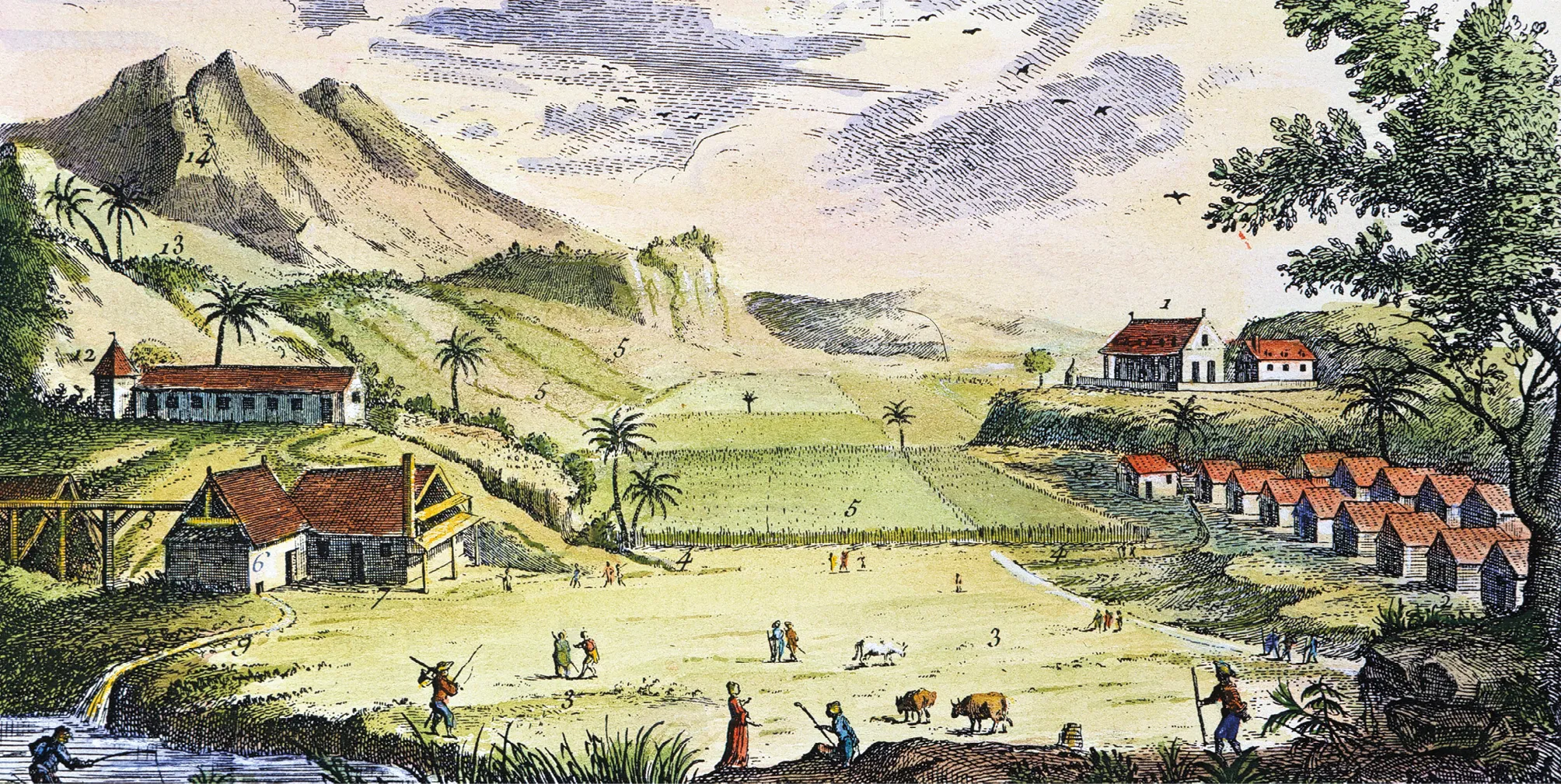 Plantation de sucre, planche de l'Encyclopédie, 1762, gravure (coloriée plus tard), MPP, Charenton-le-Pont.