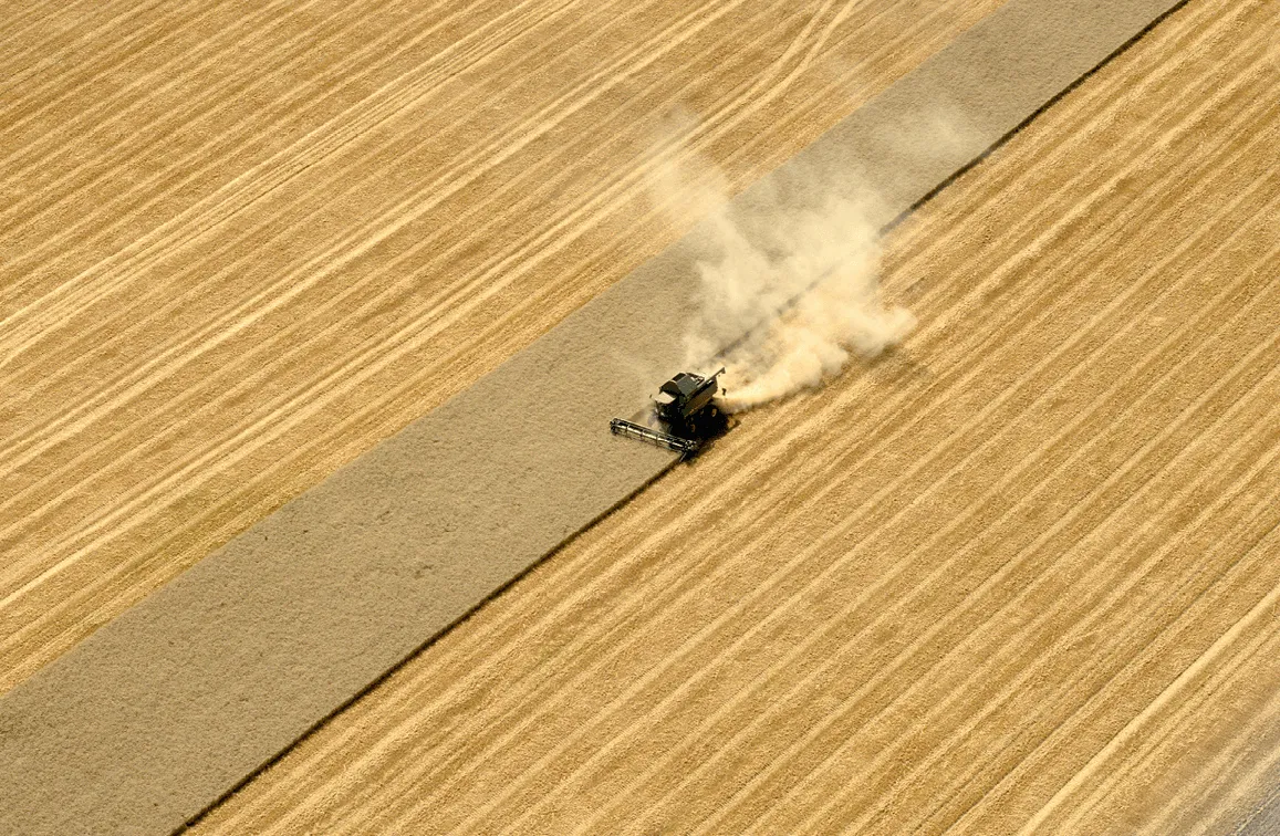 Récolte de blé dans la Beauce