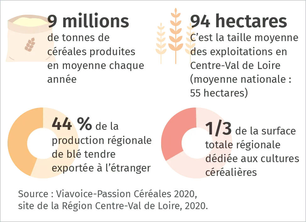 La céréaliculture dans la région Centre-Val de Loire