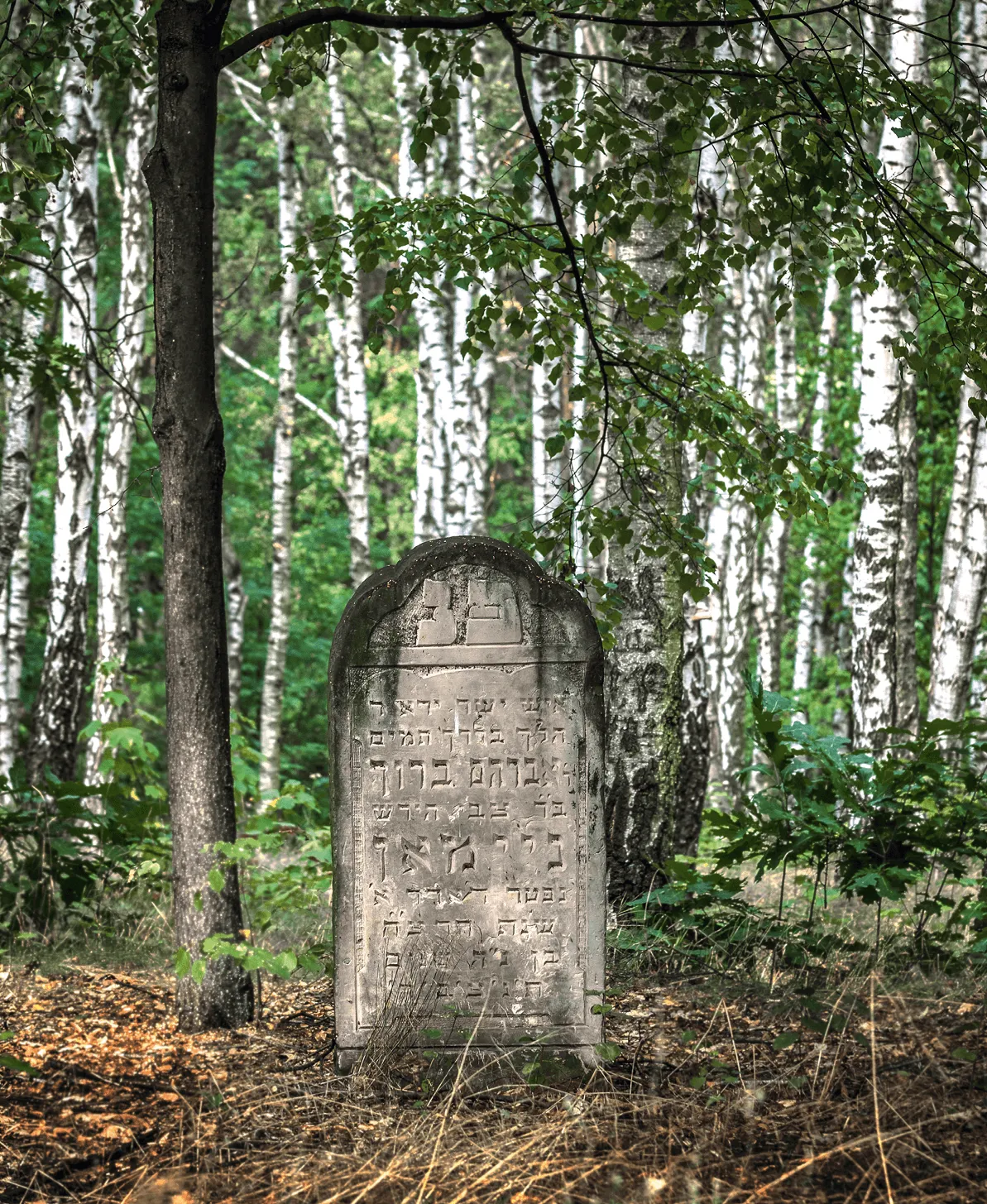 Pierre tombale dans un vieux cimetière juif (Brodno, Pologne).