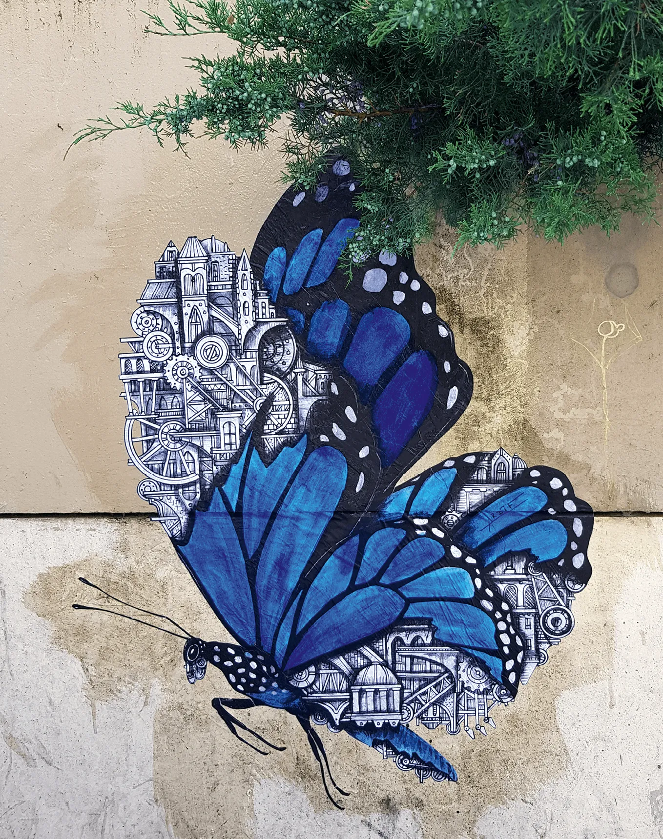 Ardif, Papillon bleu des villes