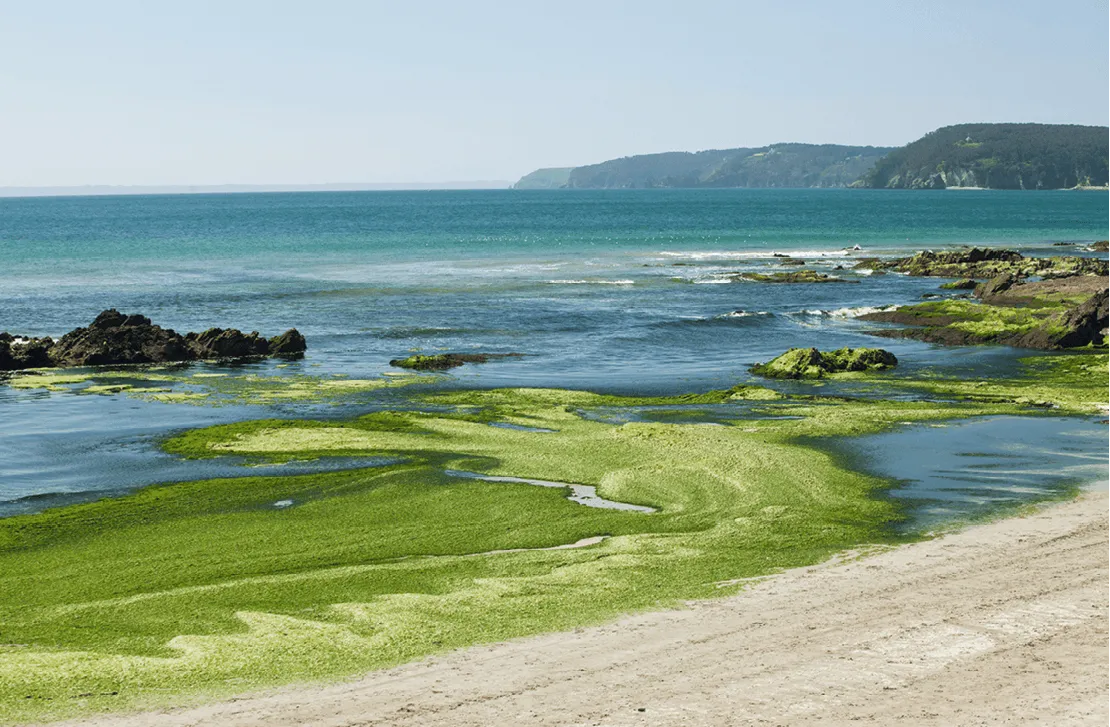 La plage de Postolonnec, sur la presqu'île touristique du Crozon, en Bretagne.