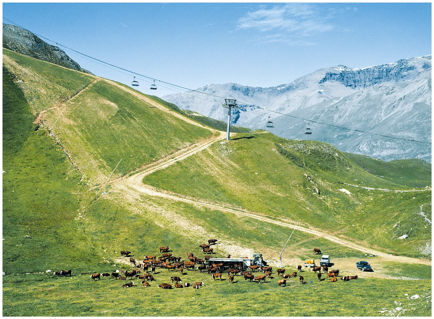 Un éleveur et son troupeau dans l'alpage à Tignes