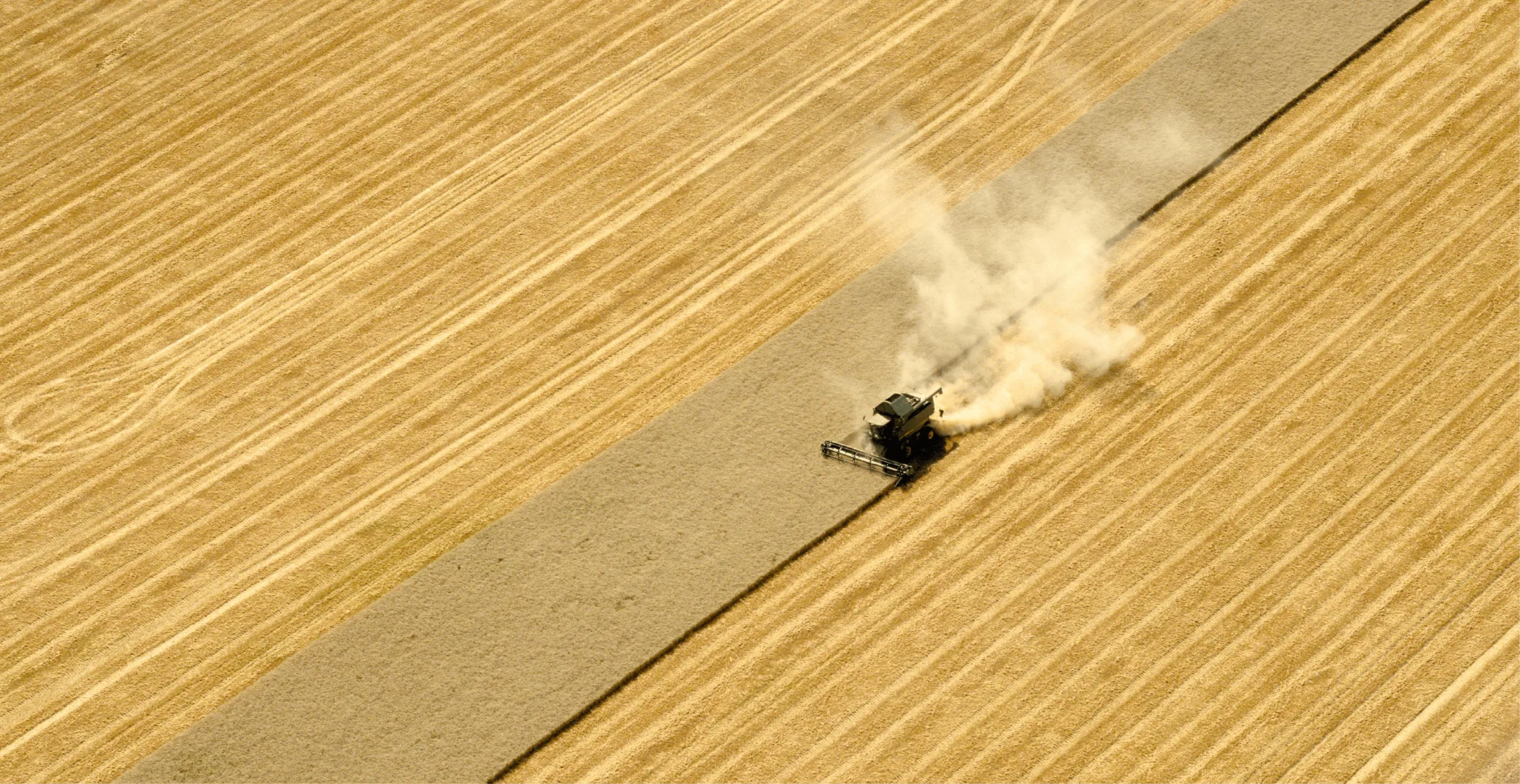 La récolte du blé