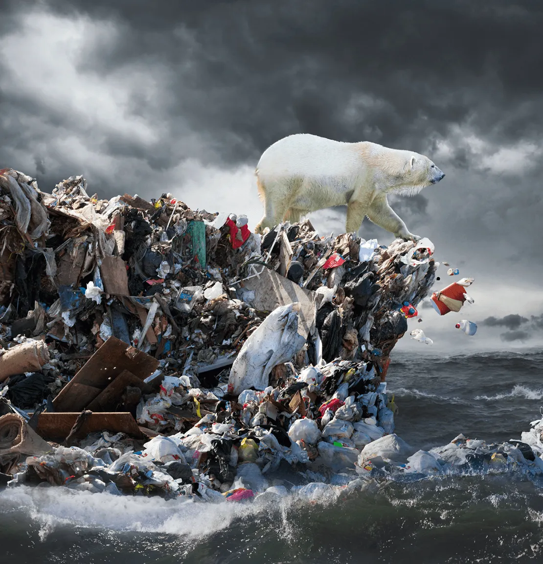 John Lund, Ours polaire sur un iceberg de déchets