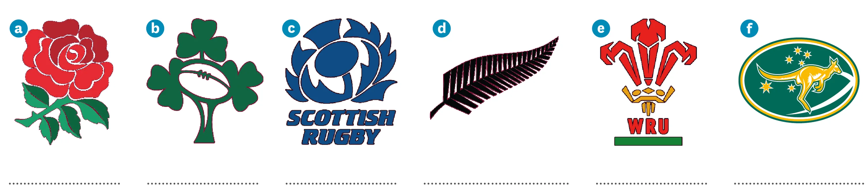 6 logos d'équipes de rugby, a - une rose, b - trois trèfles et un ballon de rugby, un dandelion bleu, une plume noire, trois langue rouge et un kangourou doré sur fond vert.